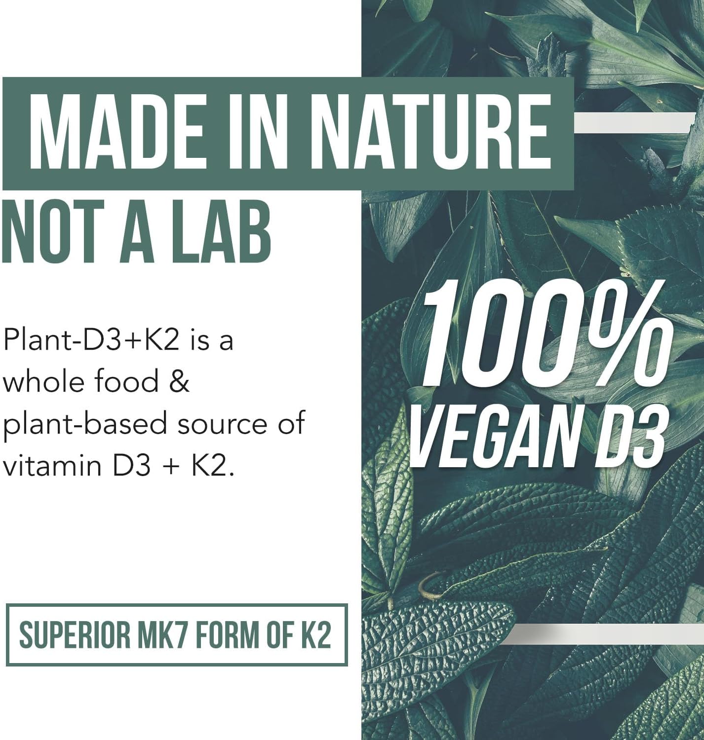 Organic Plant D3 + K2 (10,000 IU D3 + 120 mcg K2) - image from Amazon 6