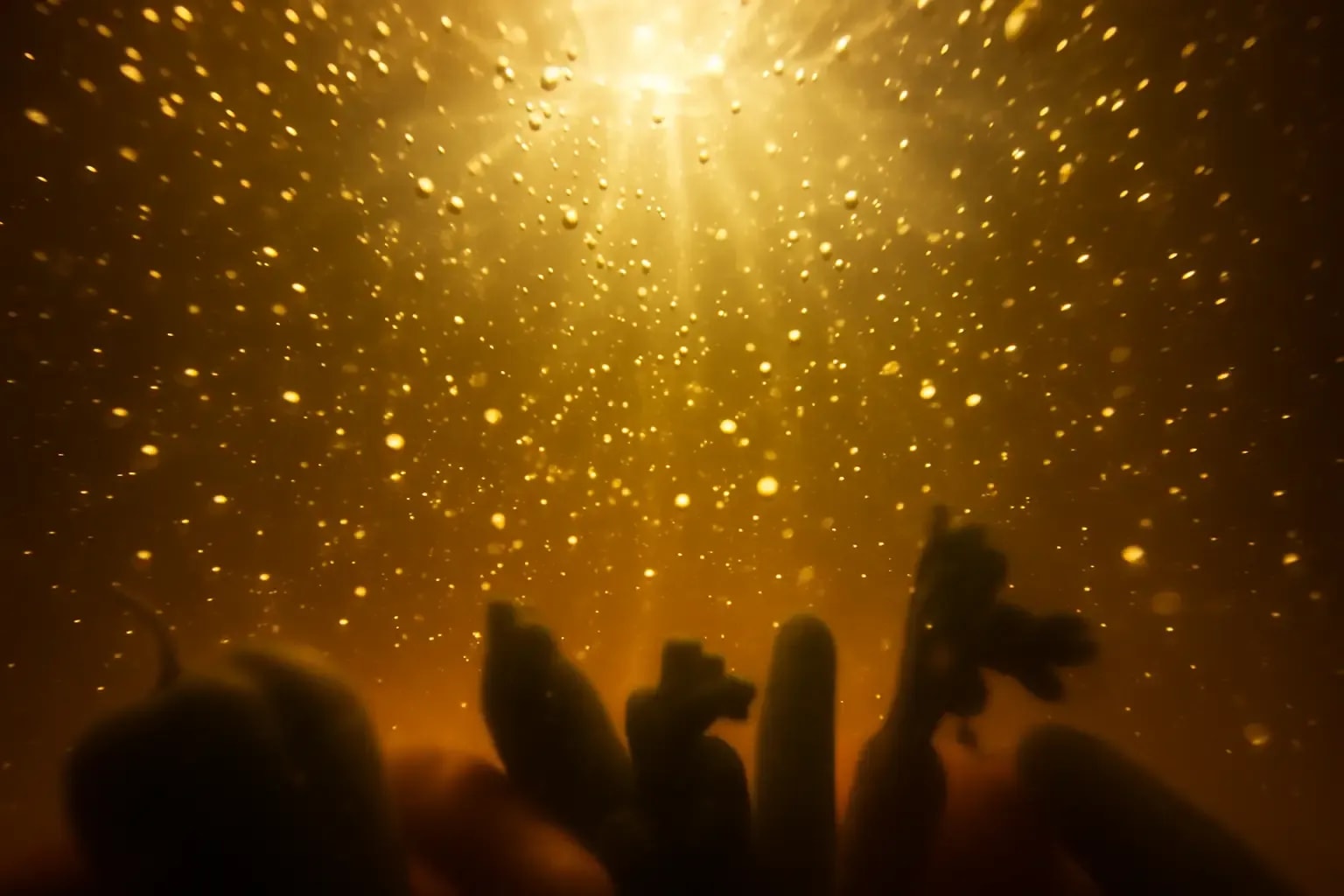 compressed-20250605_0136_Bubbly Underwater Fermentation_simple_compose_01jwyhd0z3fc4b8dqjqvbb9yg3.png.webp